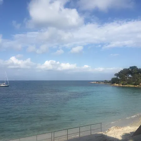 Antibes Les Pins アパート